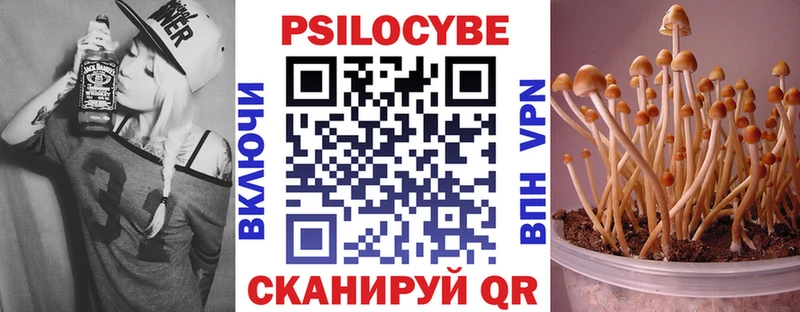 Галлюциногенные грибы Psilocybe  кракен ТОР  Калач 
